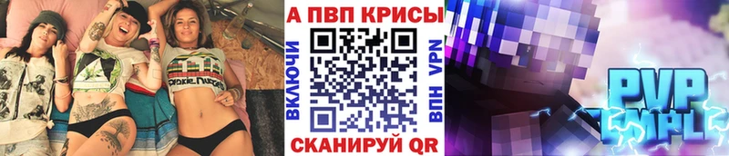 Альфа ПВП СК КРИС что такое блэк спрут Оленегорск