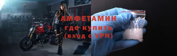 мет Алексин